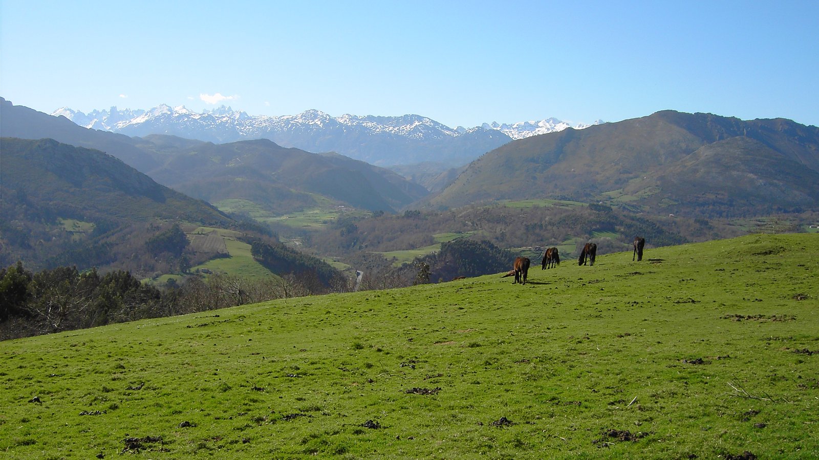 Rutas a caballo valles asturianos