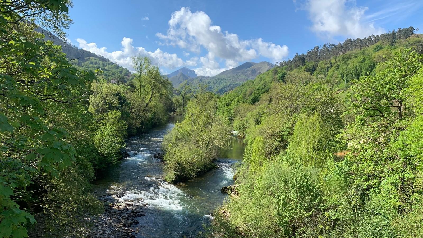 Valle asturiano verde
